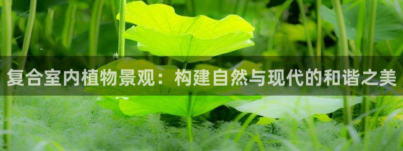 c新宝GG：复合室内植物景观：构建自然与现代的和谐之美
