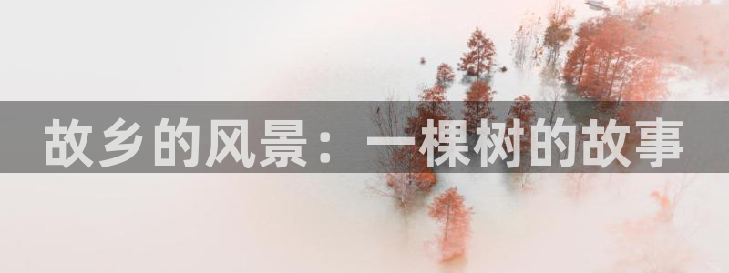 新宝一gg测速：故乡的风景：一棵树的故事