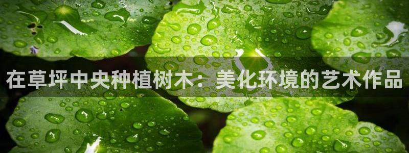 新宝gg域：在草坪中央种植树木：美化环境的艺术作品
