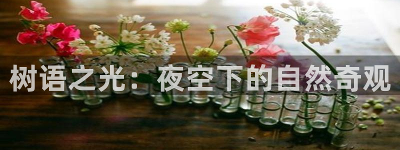 新宝gg如何注册