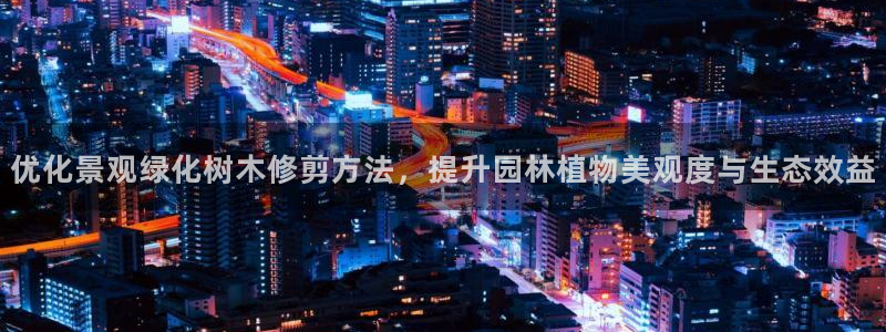 新宝gg游戏