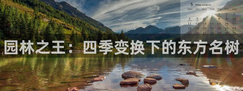 新宝gg一创造奇迹