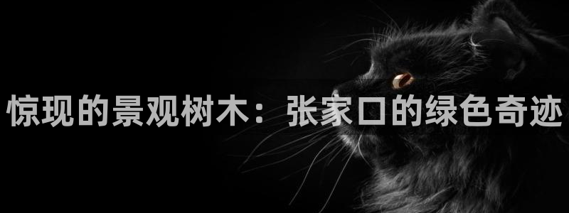 新宝gg娱乐登录地址