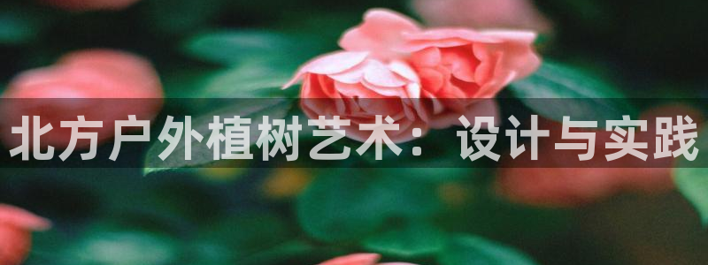 新宝gg老板64491：北方户外植树艺术：设计与实践