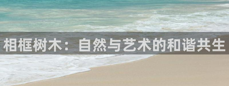 新宝gg灬75505：相框树木：自然与艺术的和谐共生