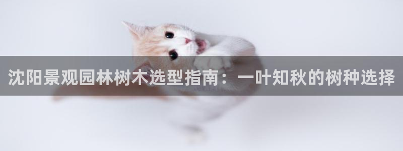 新宝GG创业奇迹:沈阳景观园林树木选型指南:一叶知秋的树种选择