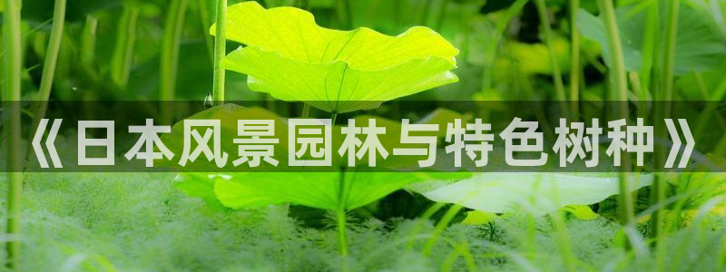 新宝gg手机助手