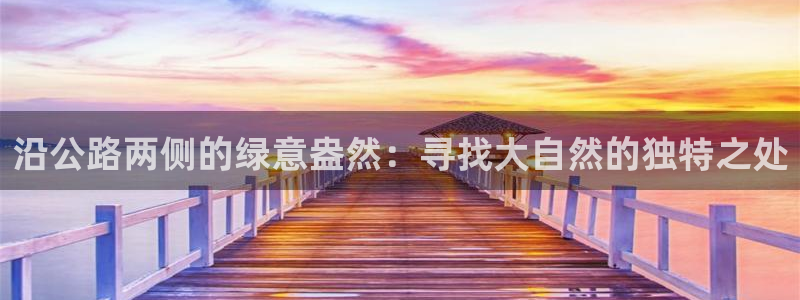 新宝gg平台反水