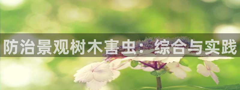 新宝GG53339咨询新宝GG