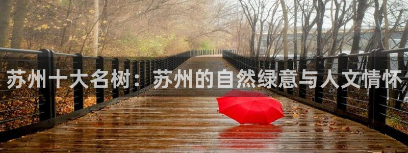 新宝gg如何注册登录