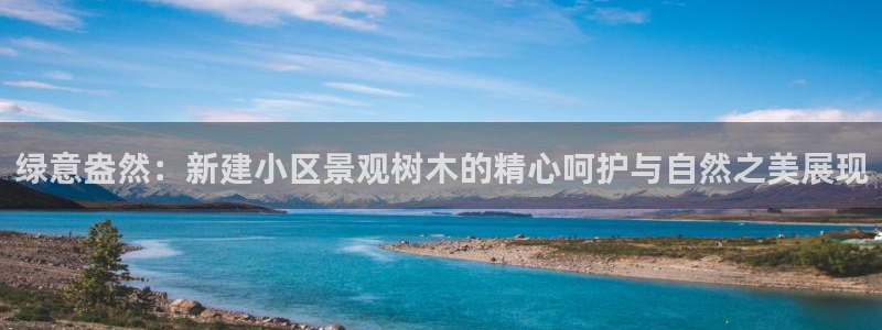 新宝gg手机版下载