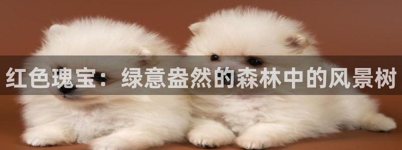 gg新宝创新:红色瑰宝:绿意盎然的森林中的风景树