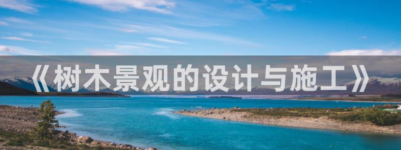 新宝gg注册登录