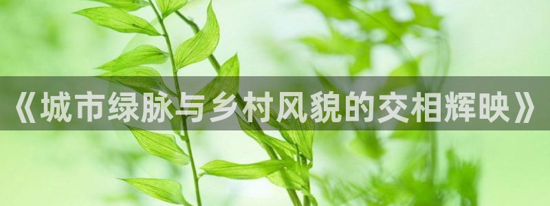 新宝新宝gg开户流程