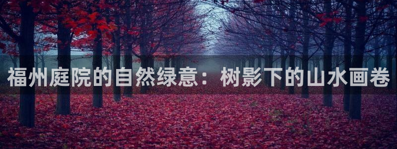 新宝gg挂机软件下载