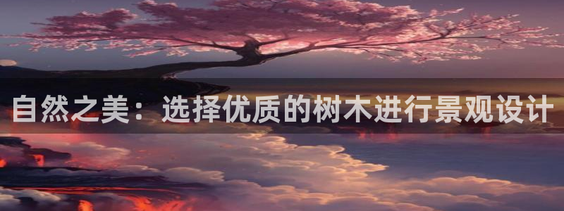 新宝gg 登录