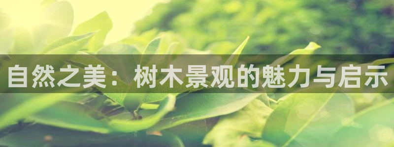 新宝gg注销：自然之美：树木景观的魅力与启示
