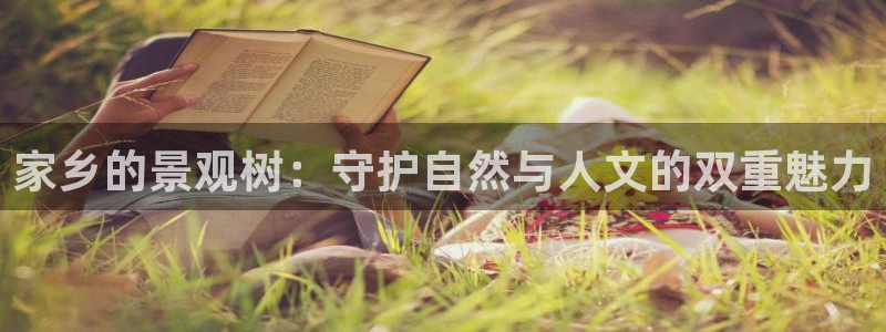 新宝6娱乐新宝gg