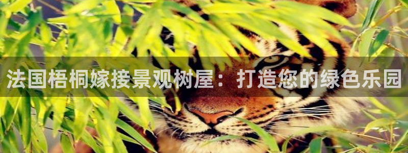 新宝GG无法充值