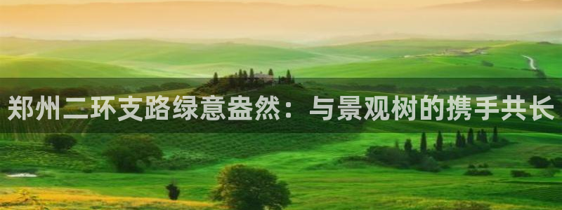 新宝gg手机版下载