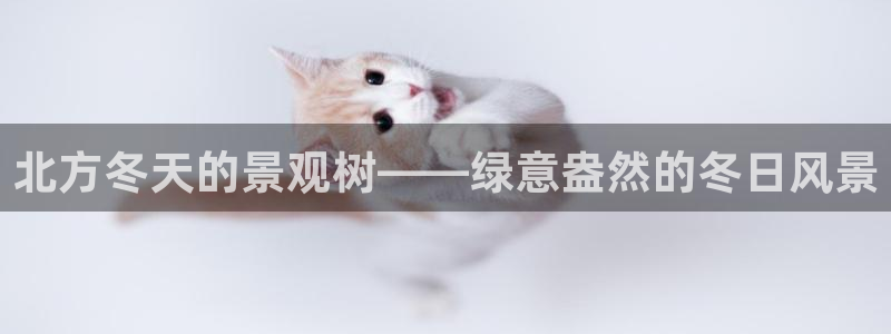 登录新宝gg游戏：北方冬天的景观树——绿意盎然的冬日风景