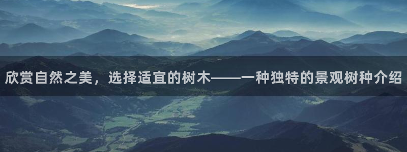 新宝gg申请账号