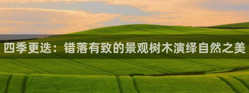 新宝gg   创造奇迹