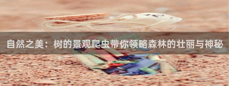 新宝gg娱乐官网