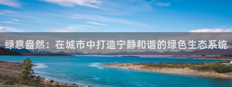 新宝gg创造奇迹