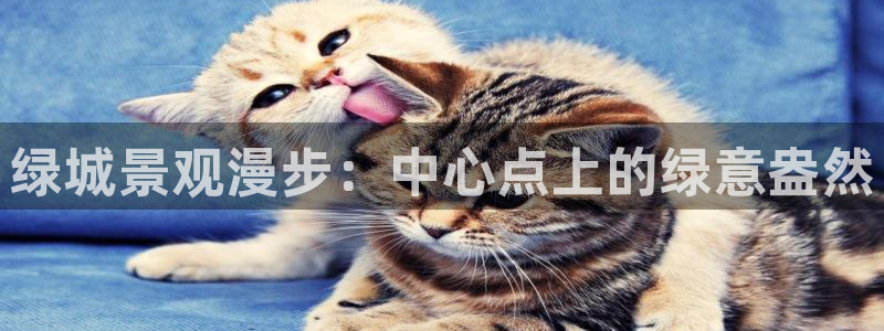 新宝Gg测速地址