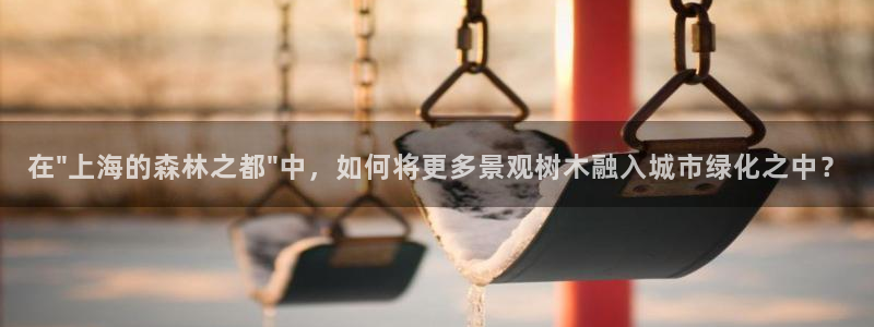 收新宝gg