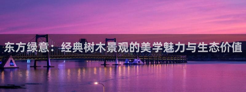 新宝gg 创造奇迹