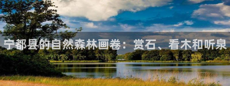 新宝彩票gg