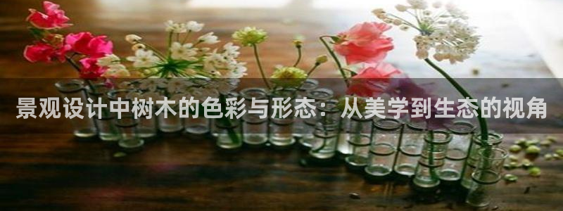 新宝6娱乐新宝gg