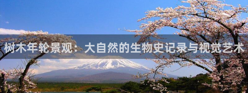 新宝GG亚洲