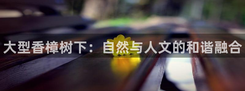 新宝gg主管111
