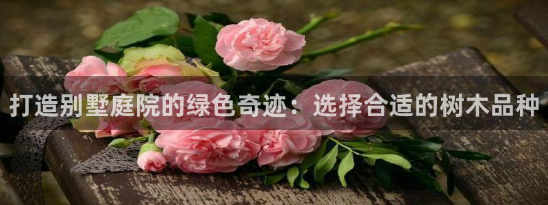 收新宝gg