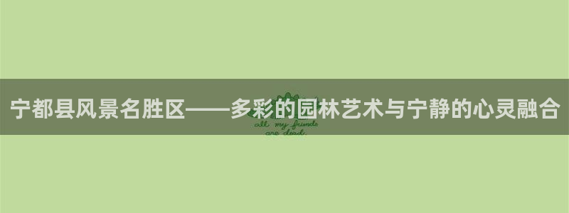 新宝GG创造奇