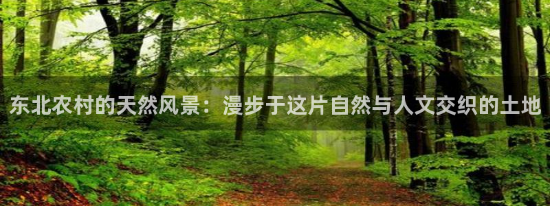新宝gg系列