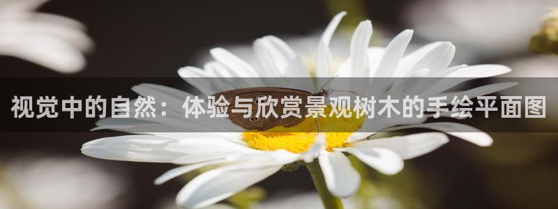 新宝gg奖金