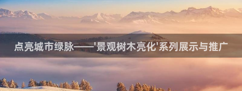 新宝gg主管、