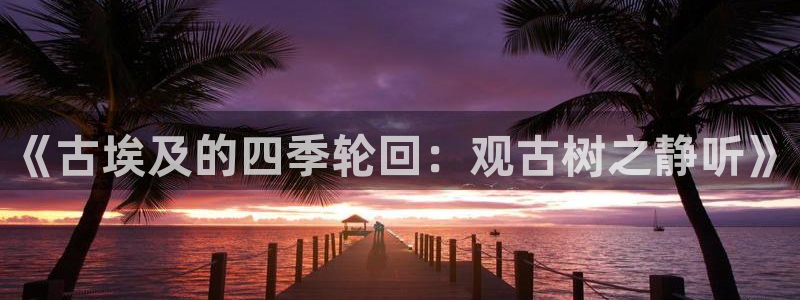 新宝gg正规