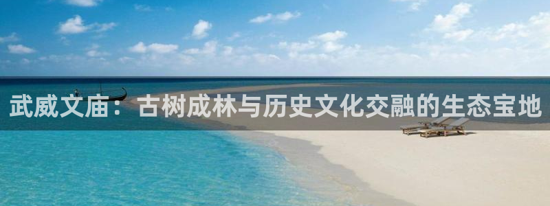 正版新宝gg