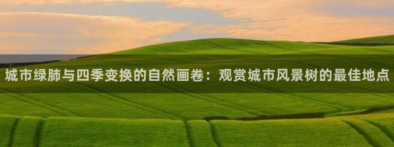 新宝gg违法