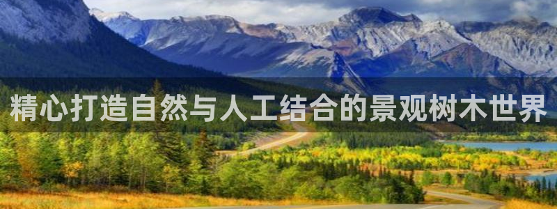 新宝gg论坛