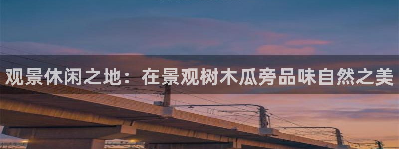 新宝gg盈亏