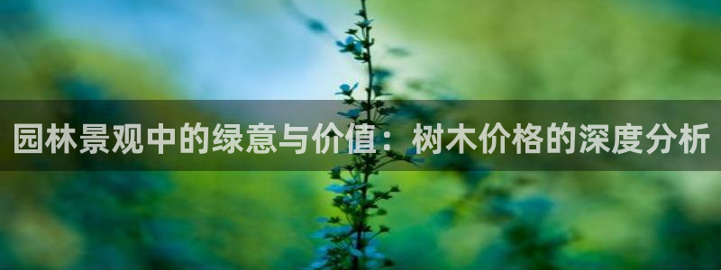 新宝gg是新宝几