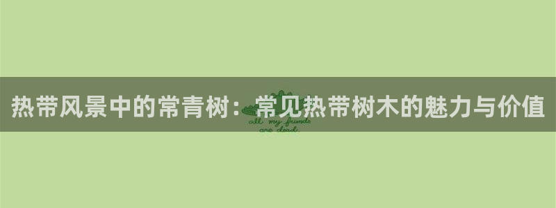 新宝GG链接