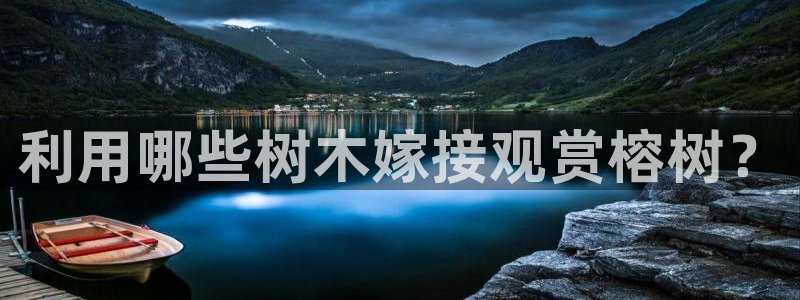 新宝gg有规律么