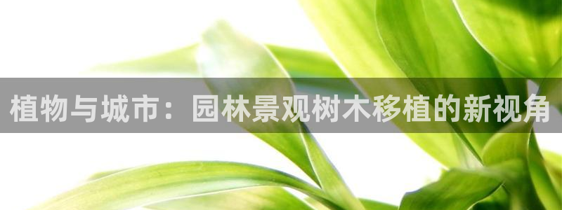 新宝GG电话：植物与城市：园林景观树木移植的新视角